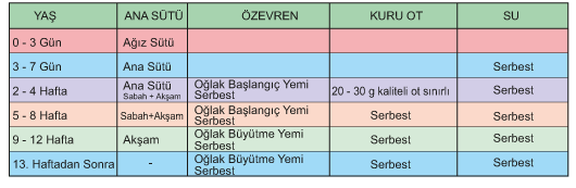 Türkü Keçi Grubu Yemleri